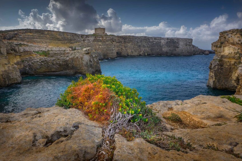 Picture 36 for Activity Sliema: Fernandes Gozo and Comino Cruise with Lunch & Drinks