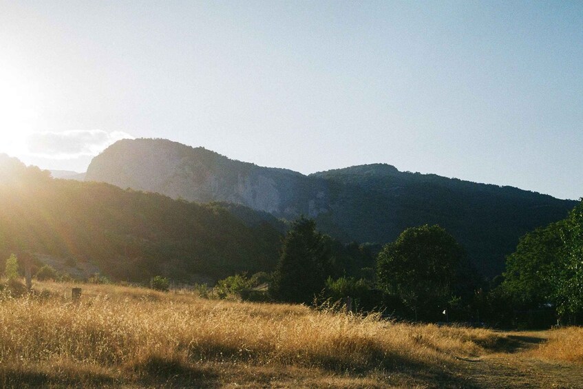 Picture 7 for Activity From Athens: Mt. Olympus National Park Guided Day Tour