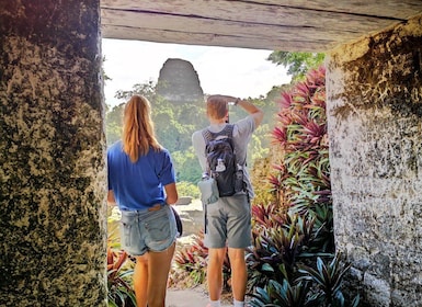 Tikal Sunrise, Archaeological focus and Wildlife Spotting