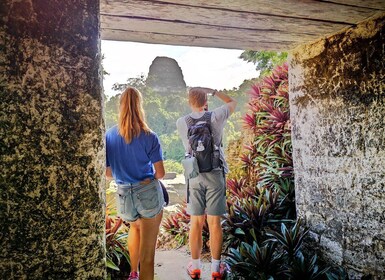 Tikal Sunrise, Archaeological focus and Wildlife Spotting