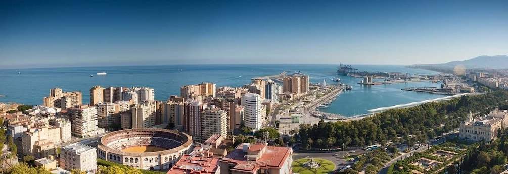 Málaga: 2.5-Hour Private Walking Tour