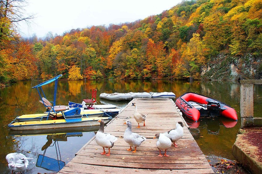 Private Camping in Tavush & the Discovery of Lake Sevan