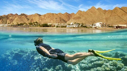 Le Caire : Excursion d'une journée à la mer Rouge avec déjeuner