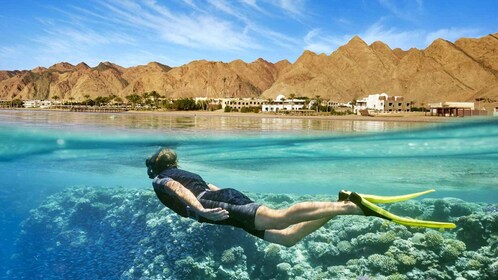 Le Caire : Excursion d’une journée à la mer Rouge avec déjeuner