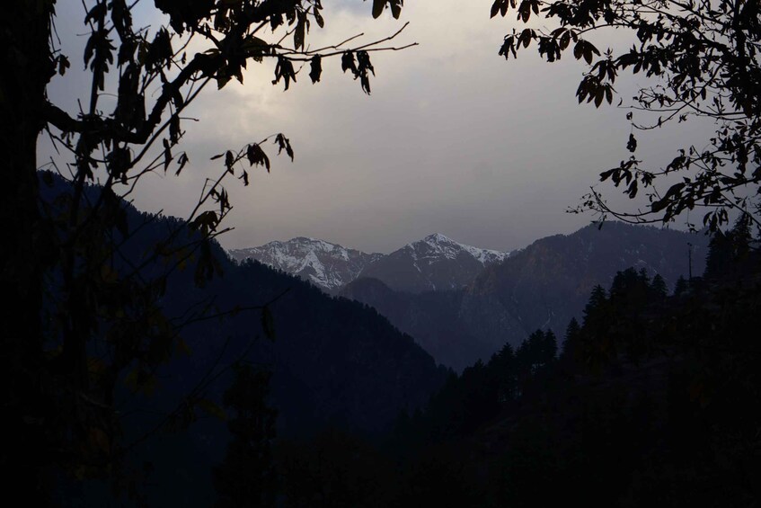 Picture 4 for Activity Kheerganga Trek : Magical Journey in Kasol