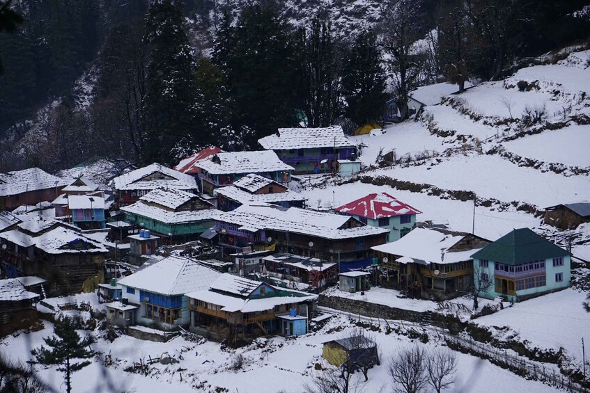 Picture 5 for Activity Kheerganga Trek : Magical Journey in Kasol