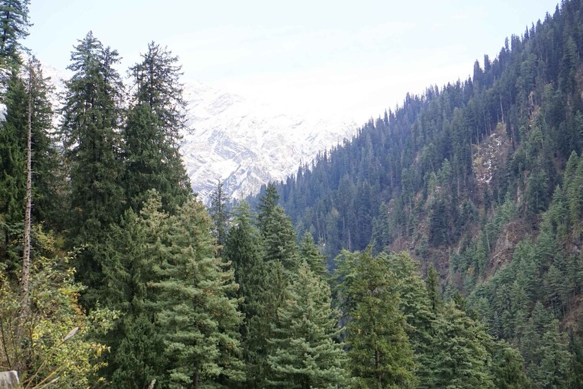 Picture 2 for Activity Kheerganga Trek : Magical Journey in Kasol