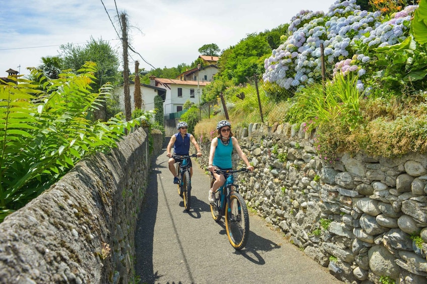 Picture 5 for Activity Lake Como to Lake Lugano: E-Bike Three Panoramic Lakes