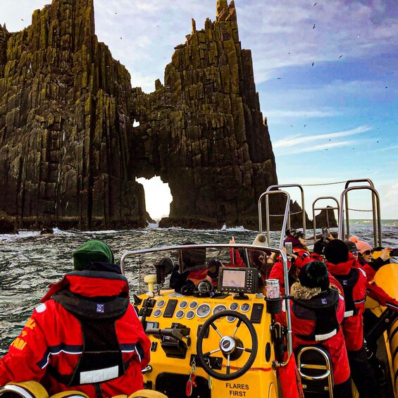 Picture 5 for Activity Dingle: Sea Safari by RIB Boat