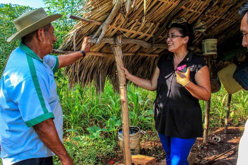 Picture 3 for Activity From Merida: Visit to Ek Balam Community & Cenote Tour