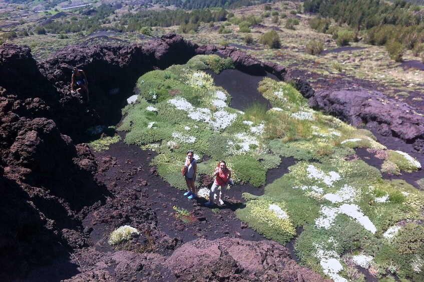 Picture 4 for Activity From Catania: Mount Etna Half-Day Tour and Wine Experience