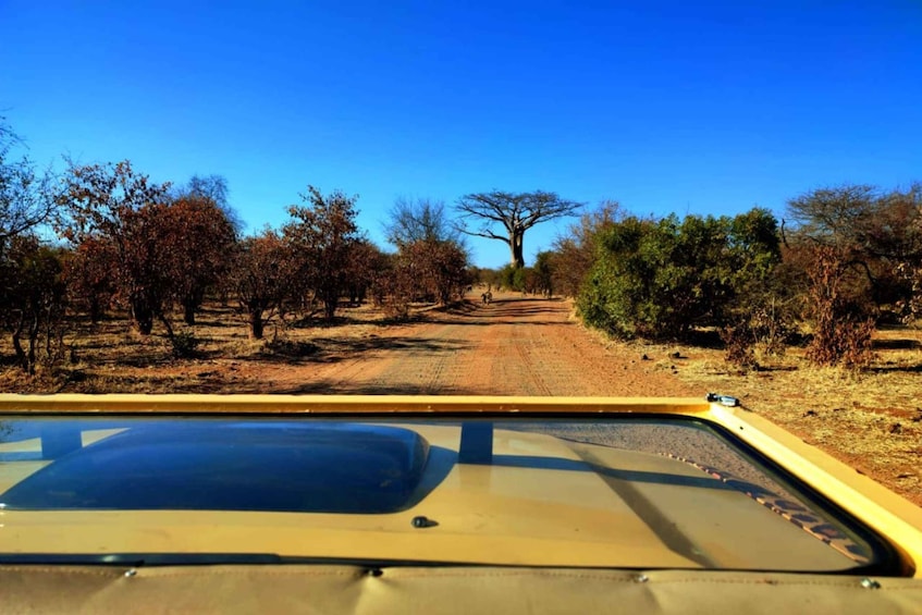 Picture 5 for Activity Victoria Falls: 4x4 Victoria Falls Town Safari