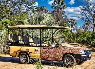 Victoria Falls: 4x4 Victoria Falls Town Safari