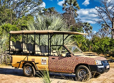 Victoria Falls : Safari de ville de Victoria Falls 4x4