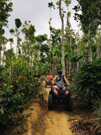 Picture 5 for Activity Munduk : Fun ATV Quad bike adventure with natural waterfall
