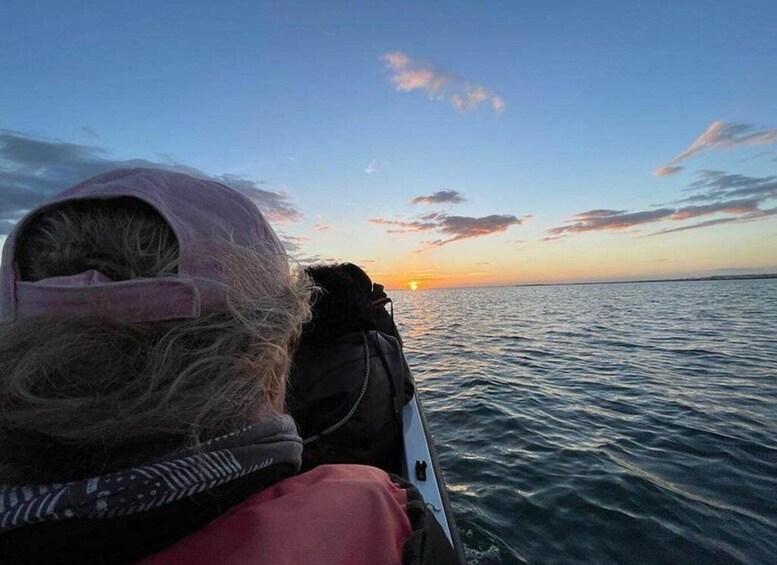 Picture 7 for Activity Olhão: Ria Formosa Boat Cruise to Armona and Culatra