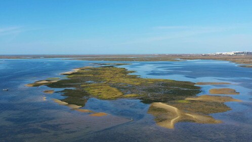 Olhão: Ria Formosa Boat Cruise to Armona and Culatra