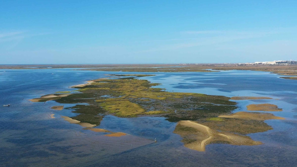 Olhão: Ria Formosa Boat Cruise to Armona and Culatra