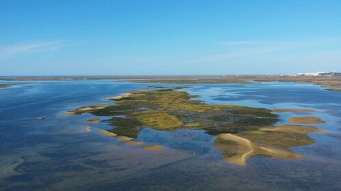 Olhão : Bateau de jour du parc national de Ria Formosa croisière