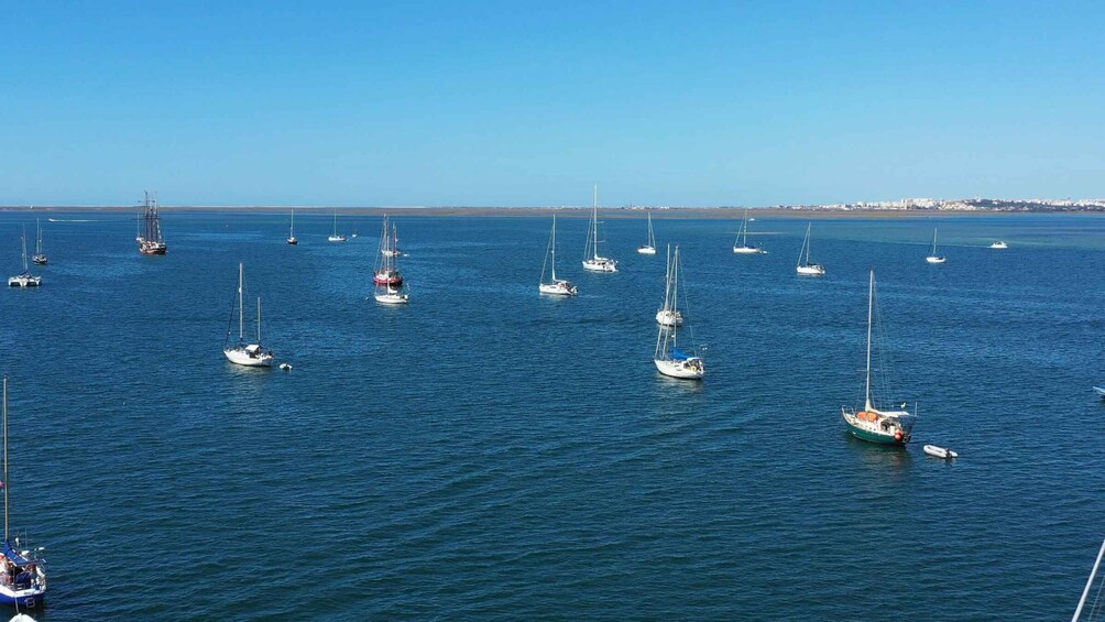 Picture 1 for Activity Olhão: Ria Formosa Boat Cruise to Armona and Culatra