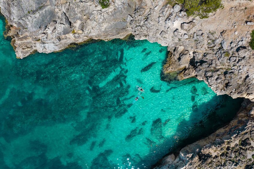 Picture 1 for Activity Arrábida: Guided Transparent Kayaking Tour