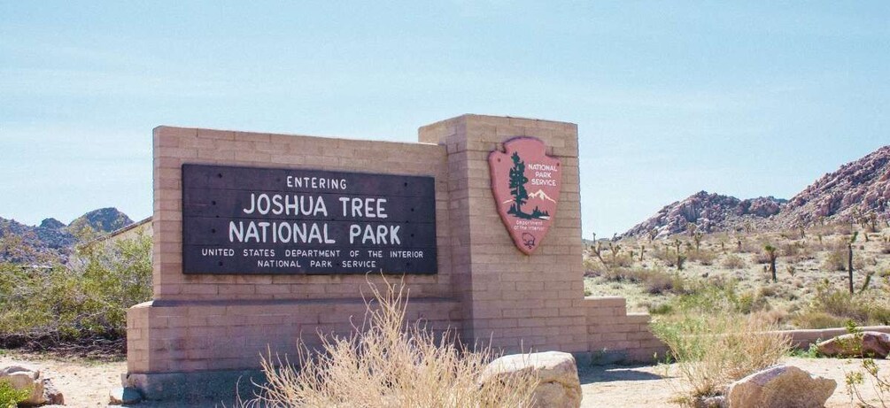 Joshua Tree National Park: Self-Guided Driving Tour