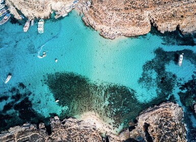 Sliema/St. Paul's: Gozo, Comino & Blå lagunen färjekryssning