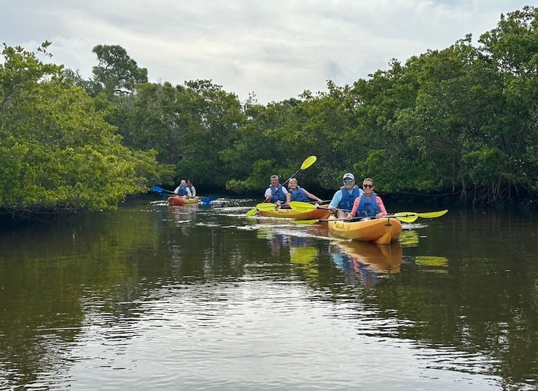 Picture 46 for Activity Robinson Preserve Mangrove Tour