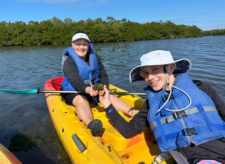 Picture 3 for Activity Robinson Preserve Mangrove Tour