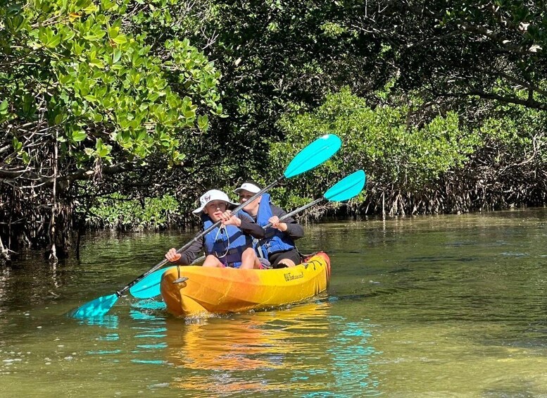 Picture 26 for Activity Robinson Preserve Mangrove Tour