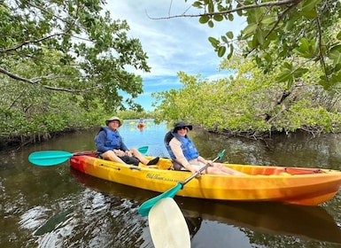 Robinson Preserve Mangrove Tour