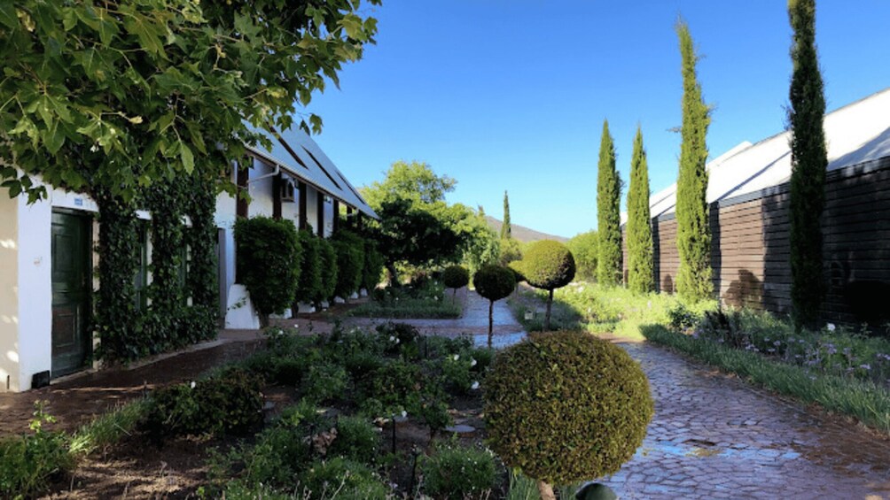 Picture 20 for Activity Stellenbosch: Half-Day Wine Tour