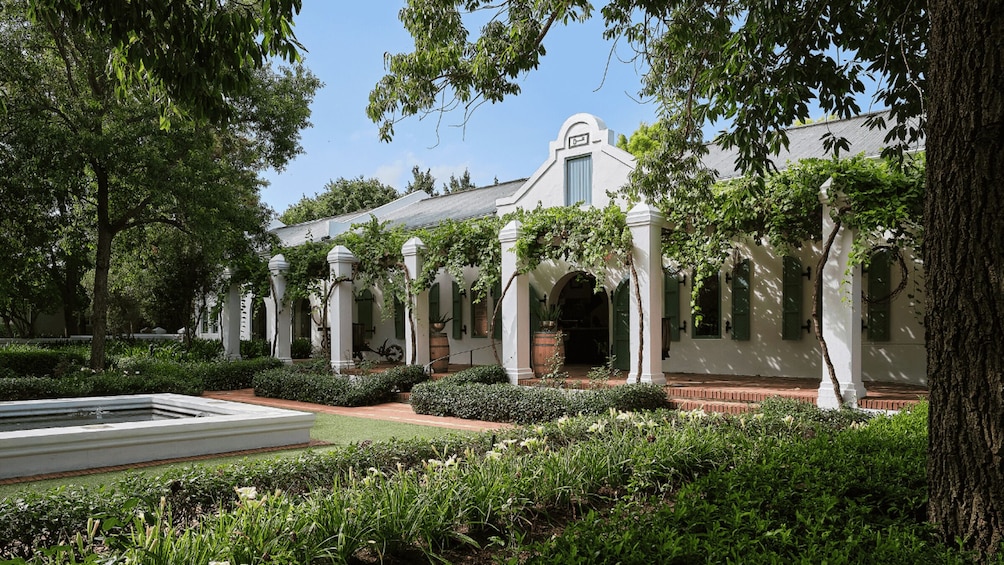 Picture 23 for Activity Stellenbosch: Half-Day Wine Tour