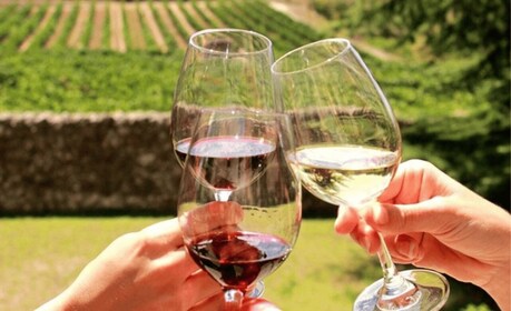 Stellenbosch: Tur Anggur Setengah Hari