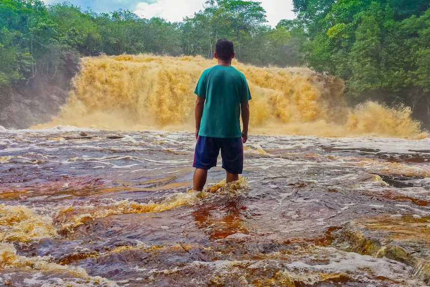 From Manaus: Presidente Figueiredo Waterfalls Daytrip