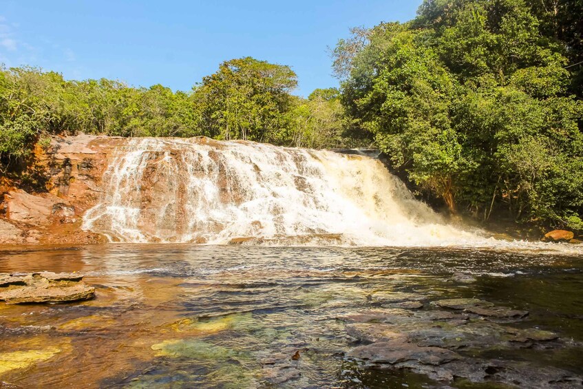 Picture 7 for Activity From Manaus: Presidente Figueiredo Waterfalls Daytrip