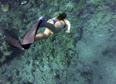 Giardini Naxos: Snorkling i Isola Bella Marine Park