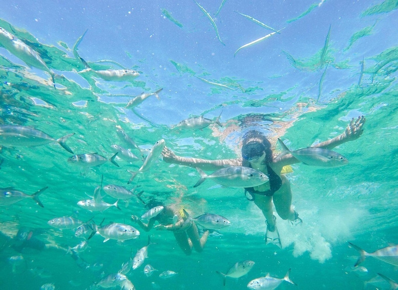 Picture 6 for Activity Punta Cana: Reef Explorer Access w/ Sharks & Stingrays Swim