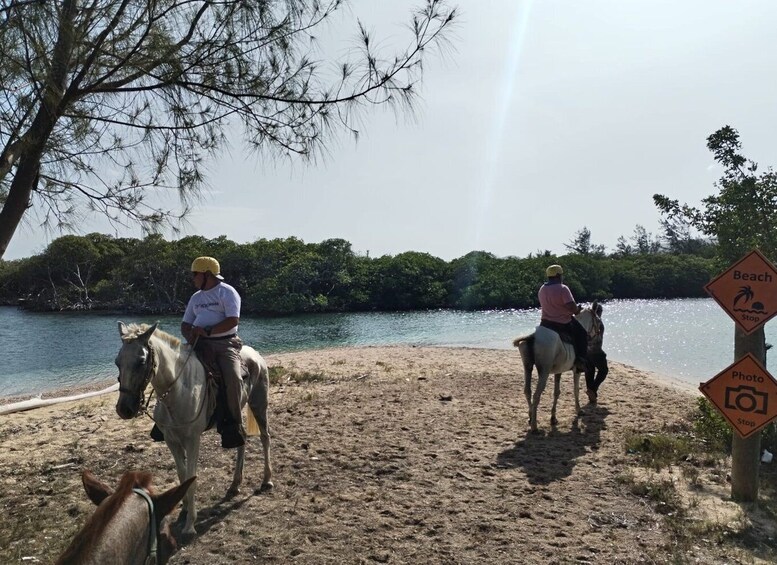 Picture 1 for Activity Scenic Horseback Riding in Roatan + Snorkeling Tour