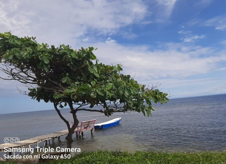 Picture 2 for Activity Scenic Horseback Riding in Roatan + Snorkeling Tour