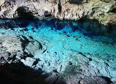 Cueva de Kuza, estrellas de mar, Laguna Azul, La Roca, Bosque de Jozani