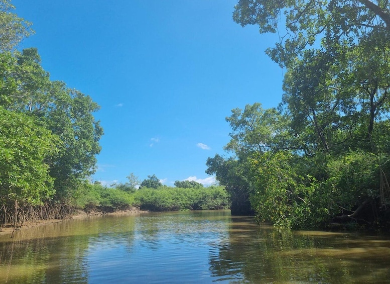 Picture 4 for Activity Delta Islands – Tutóia Private Tour