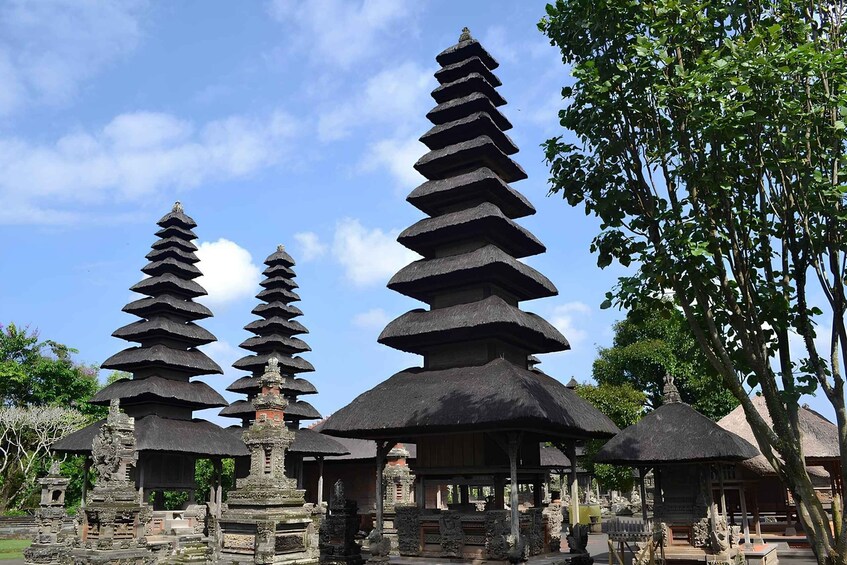 Picture 7 for Activity Bali : Your Private Driver For Customized Tour