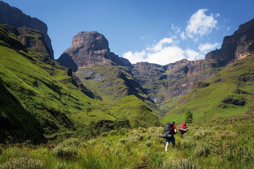 Picture 2 for Activity Drakensberg + Mandela Capture Site Full Day Tour From Durban