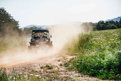 Albufeira: Albufeira: Off-Road Buggy Adventure