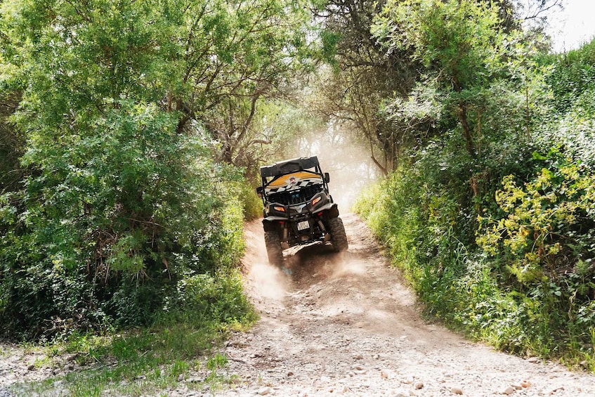 Picture 10 for Activity Albufeira: Off-Road Buggy Adventure