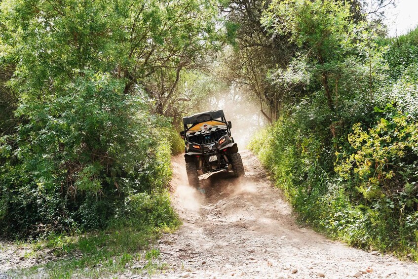 Picture 10 for Activity Albufeira: Off-Road Buggy Adventure