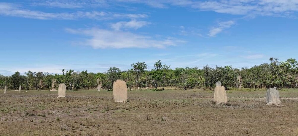 Picture 6 for Activity Darwin: Litchfield National Park and Berry Springs Day Tour