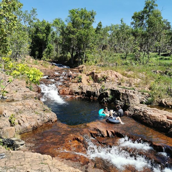 Picture 2 for Activity Darwin: Litchfield National Park and Berry Springs Day Tour