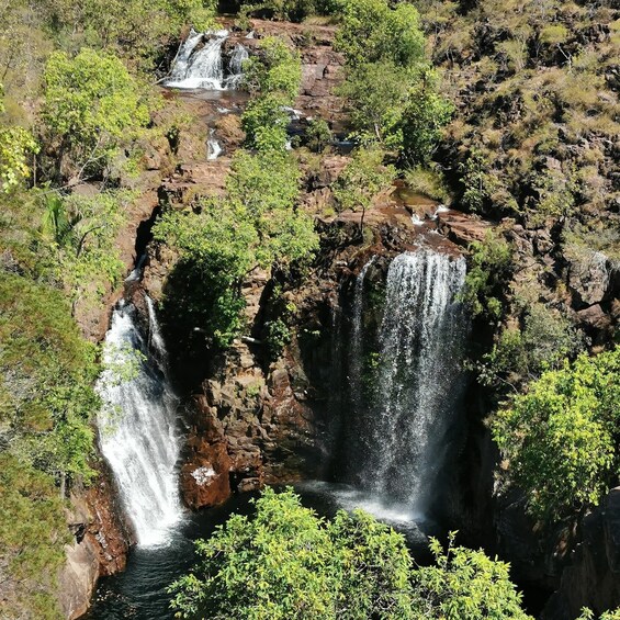 Picture 1 for Activity Darwin: Litchfield National Park and Berry Springs Day Tour